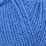 Encore Worsted 4045