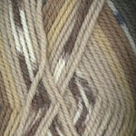 Encore Worsted Colorspun 8127