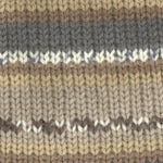 Encore Worsted Colorspun 8127