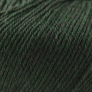 Cascade 220 Superwash 1918