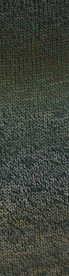 Cascade 220 Superwash Wave 101