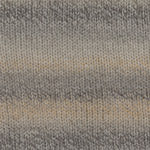Encore Worsted Colorspun 7596
