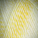 Encore Worsted Colorspun 7748