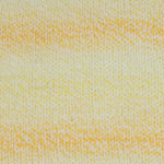 Encore Worsted Colorspun 7748