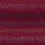Encore Worsted Colorspun 7794