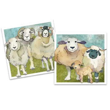 Emma Ball Mini Card Pack : Felted Sheep