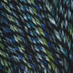 Encore Worsted Colorspun 7807