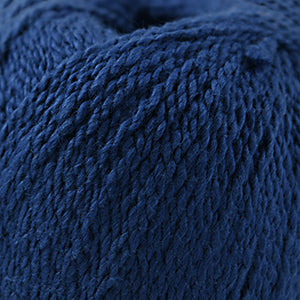 Fixation 2590