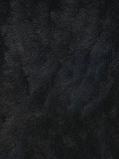 Furreal 02