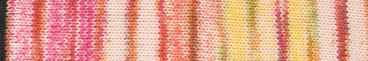 Inca Cotton 03