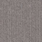 Regia 2 ply Reinforcement