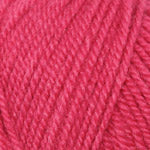 Encore Worsted  0137