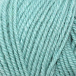 Encore Worsted  0154