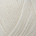 Encore Worsted  0208