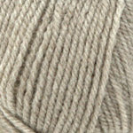 Encore Worsted  0240