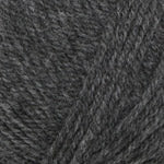 Encore Worsted  0389