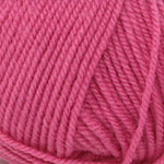 Encore Worsted  0457