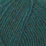 Encore Worsted  0687