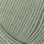 Encore Worsted  1231