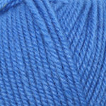 Encore Worsted  4045