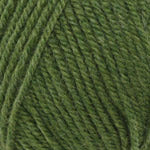 Encore Worsted  6004