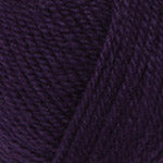 Encore Worsted  9806