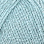 Encore Worsted  9859