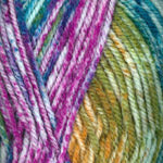 Encore Worsted Colorspun  7203