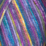 Encore Worsted Colorspun  8004