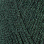 Encore Worsted  0204