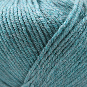 Cascade 220 Superwash  1910