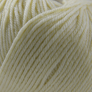 Cascade 220 Superwash  1915