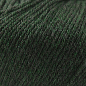 Cascade 220 Superwash  1918