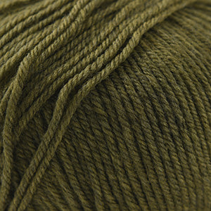 Cascade 220 Superwash  1919