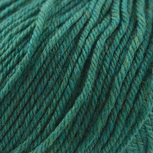 Cascade 220 Superwash  859