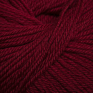 Cascade 220 Superwash  893