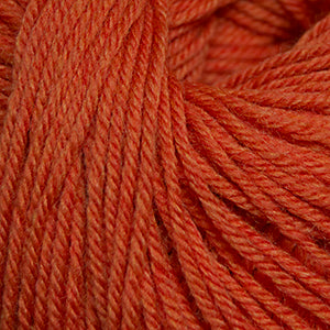 Cascade 220 Superwash 907