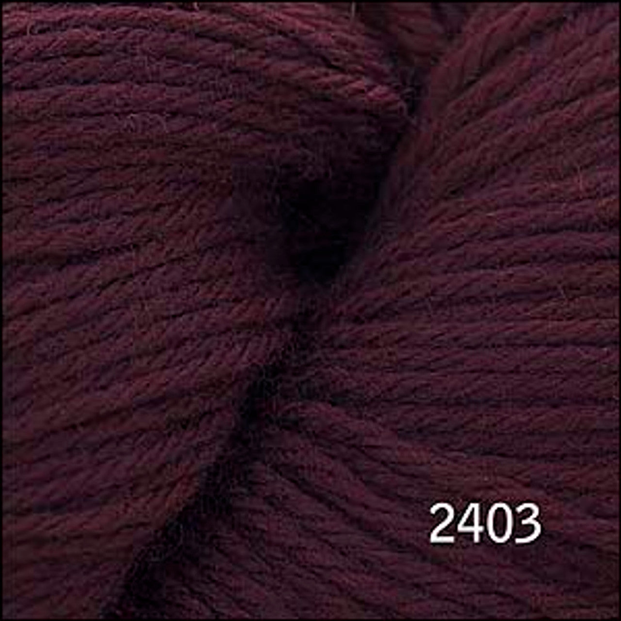 Cascade 220 Worsted  2403- BSR