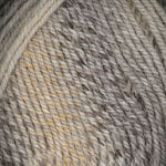 Encore Worsted Colorspun  7596