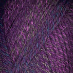 Encore Worsted Colorspun  7767