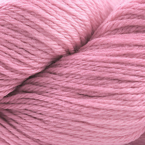 Cascade 220 Worsted  9477