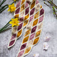 Columella Scarf June 17 & July 1
