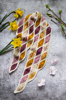 Columella Scarf June 17 & July 1