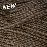 Encore Worsted  9861