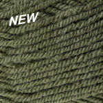 Encore Worsted  9863