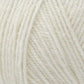 Encore Worsted