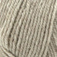 Encore Worsted
