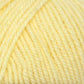 Encore Worsted
