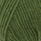 Encore Worsted
