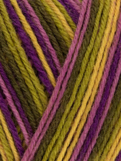 Signature 4ply